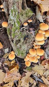 팜모닝 농사에 새로운 기회가 주어진다면?·참여글 게시글 이미지