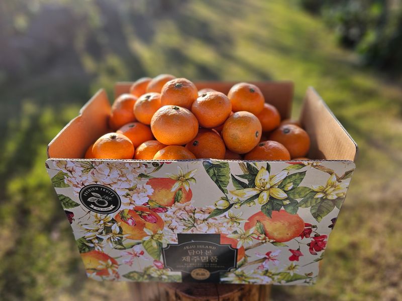 새달귤농장님의 장터 판매 상품 [ (할인.한정판매)상큼하고 달코롬 맛 2.5키로] 첨부 사진