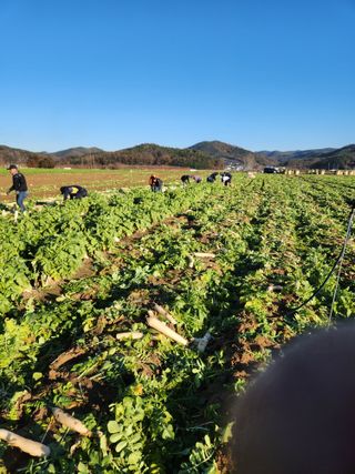 은수 은서아빠^^♡님의 농사에 새로운 기회가 주어진다면? · 참여글 작성글 사진