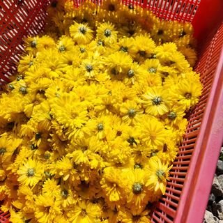 헤라여신^^♡님의 👍올해 나의 최고 자랑은? · 참여글 작성글 사진