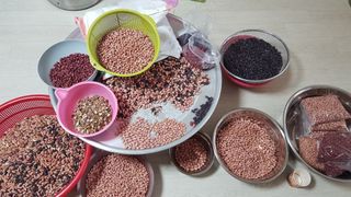 박경덕님의 농사에 새로운 기회가 주어진다면? · 참여글 작성글 사진