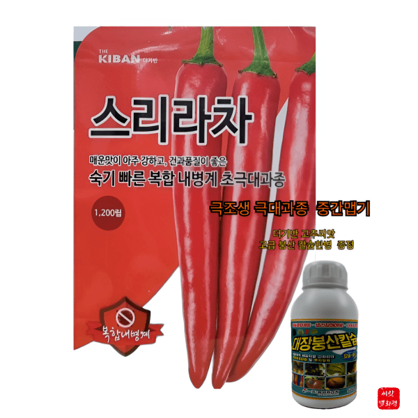 대산농사대장님의 장터 판매 상품 [스리라차  초극대과종 600립  복합내병계] 첨부 사진