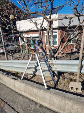 김용대님의 자유주제 · 자유게시판 작성글 사진