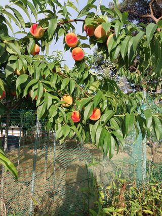 자연인님의 자유주제 · 자유게시판 작성글 사진