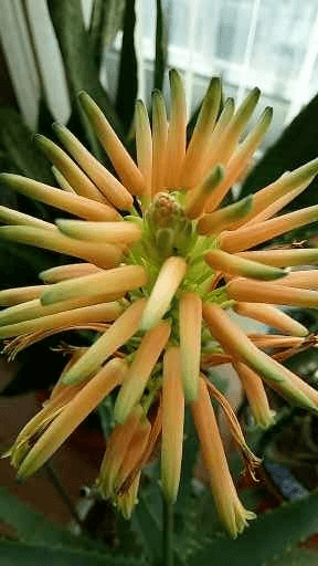 김태천님의 농사에 새로운 기회가 주어진다면? · 참여글 작성글 사진