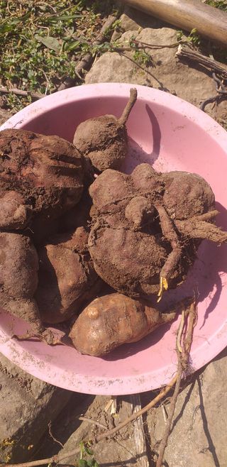 김태천님의 농사에 새로운 기회가 주어진다면? · 참여글 작성글 사진