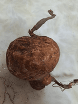 팜모닝 농사에 새로운 기회가 주어진다면?·참여글 게시글 이미지