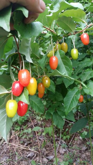 김태천님의 농사에 새로운 기회가 주어진다면? · 참여글 작성글 사진