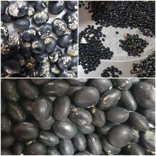 박경덕님의 농사에 새로운 기회가 주어진다면? · 참여글 작성글 사진