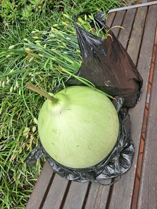 김태천님의 농사에 새로운 기회가 주어진다면? · 참여글 작성글 사진