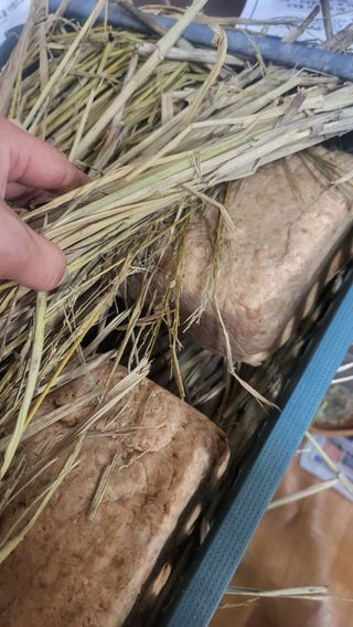 방촌대장님의 자유주제 · 자유게시판 작성글 사진