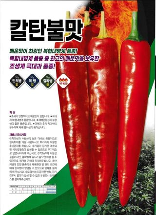 대산농사대장님의 작성글 사진