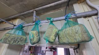 방촌대장님의 자유주제 · 자유게시판 작성글 사진