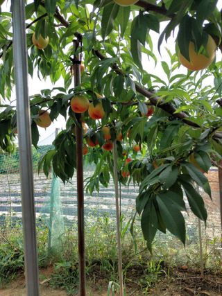 자연인님의 자유주제 · 자유게시판 작성글 사진