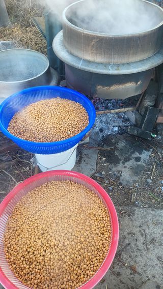 방촌대장님의 자유주제 · 자유게시판 작성글 사진