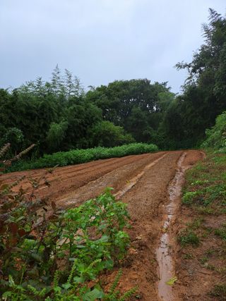 한병훈님의 농사에 새로운 기회가 주어진다면? · 참여글 작성글 사진