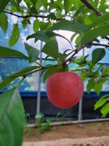 팜모닝 농사에 새로운 기회가 주어진다면?·참여글 게시글 이미지