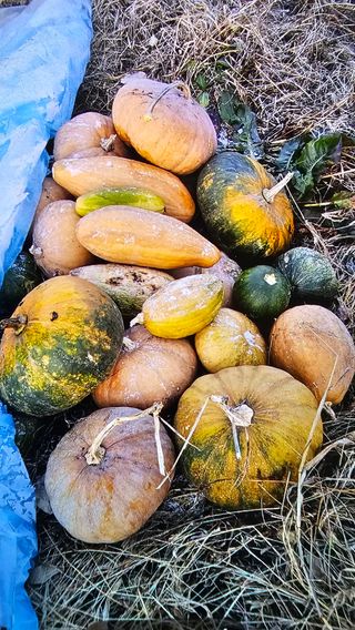 이광우님의 자유주제 · 자유게시판 작성글 사진