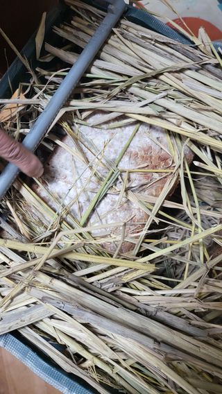 방촌대장님의 자유주제 · 자유게시판 작성글 사진