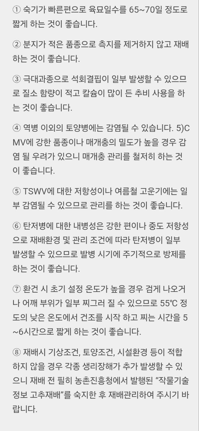 대산농사대장님의 장터 판매 상품 [스리라차  초극대과종 600립  복합내병계] 첨부 사진