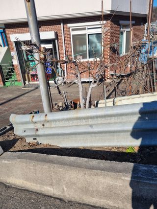 김용대님의 자유주제 · 자유게시판 작성글 사진