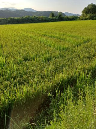 오이14746님의 농사에 새로운 기회가 주어진다면? · 참여글 작성글 사진