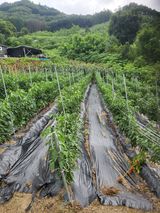 팜모닝 농사에 새로운 기회가 주어진다면?·참여글 게시글 이미지