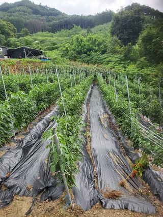 남병목님의 농사에 새로운 기회가 주어진다면? · 참여글 작성글 사진