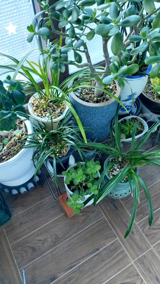 권세민님의 자유주제 · 자유게시판 작성글 사진