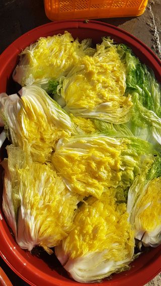 박경덕님의 농사에 새로운 기회가 주어진다면? · 참여글 작성글 사진