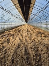 팜모닝 농사에 새로운 기회가 주어진다면?·참여글 게시글 이미지