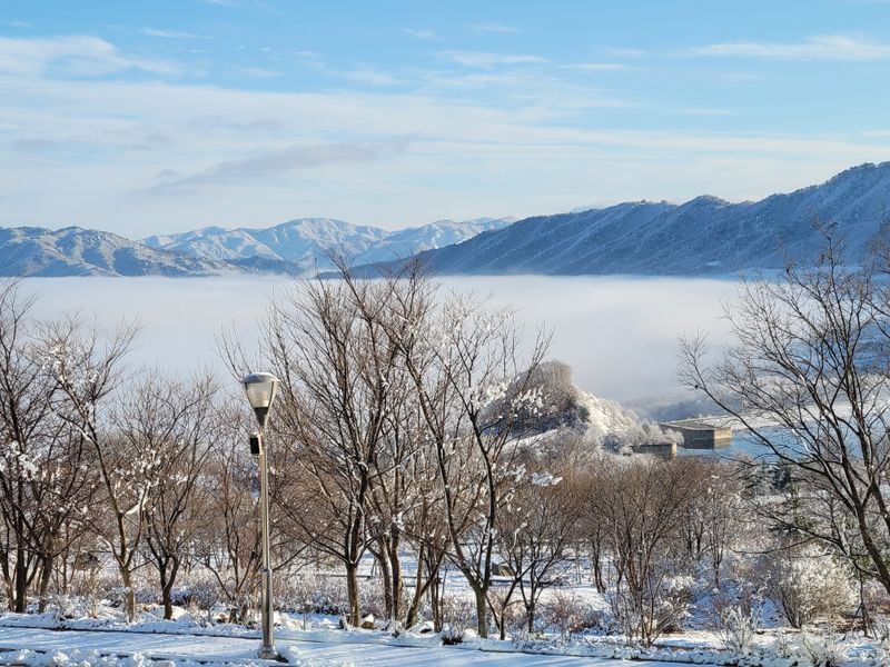 장터 상품 [햇시래기 1k 2k 3k 4k 5k10k] 썸네일