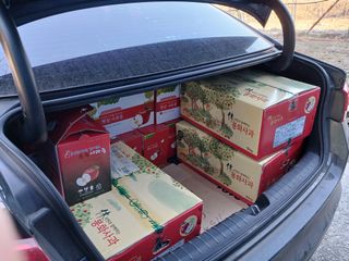 알 수 없음님의 자유주제 · 자유게시판 작성글 사진