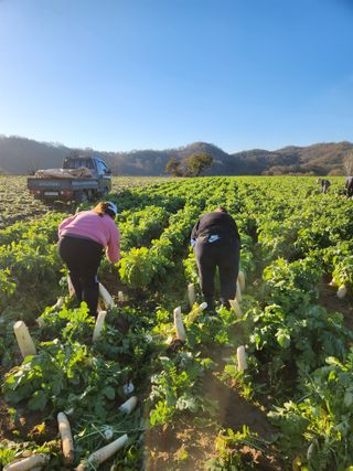 은수 은서아빠^^♡님의 농사에 새로운 기회가 주어진다면? · 참여글 작성글 사진