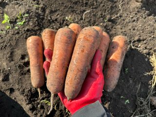 김훈님의 작성글 사진