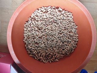 이현상님의 자유주제 · 자유게시판 작성글 사진