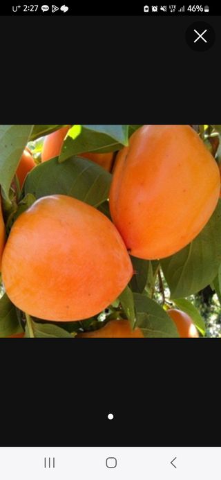 김경란 님의 👍올해 나의 최고 자랑은? · 참여글 작성글 사진