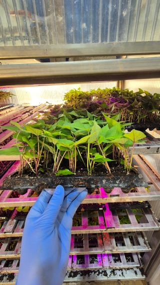 김동수님의 자유주제 · 자유게시판 작성글 사진