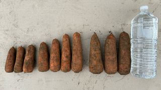 김훈님의 작성글 사진