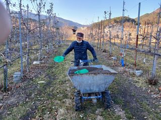 알 수 없음님의 자유주제 · 자유게시판 작성글 사진