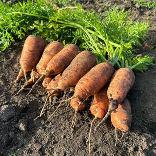 김훈님의 작성글 사진