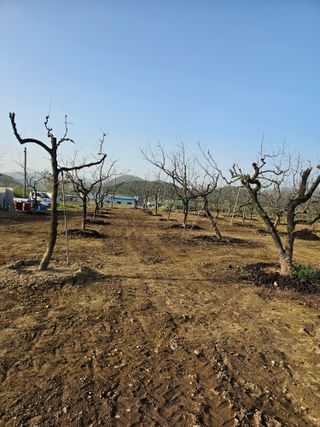 배성은365님의 농사에 새로운 기회가 주어진다면? · 참여글 작성글 사진