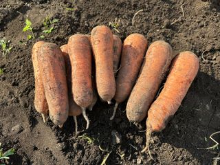 김훈님의 작성글 사진