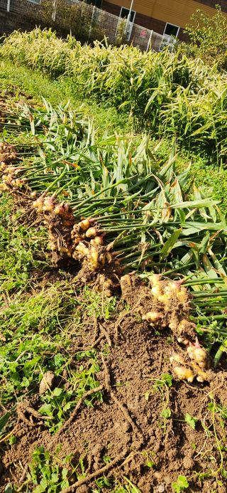 최군환님의 👍올해 나의 최고 자랑은? · 참여글 작성글 사진