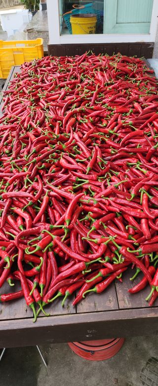 덕포킴님의 👍올해 나의 최고 자랑은? · 참여글 작성글 사진