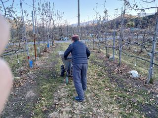 알 수 없음님의 자유주제 · 자유게시판 작성글 사진