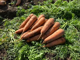 김훈님의 작성글 사진