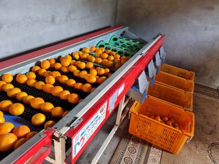 박종례님의 👍올해 나의 최고 자랑은? · 참여글 작성글 사진