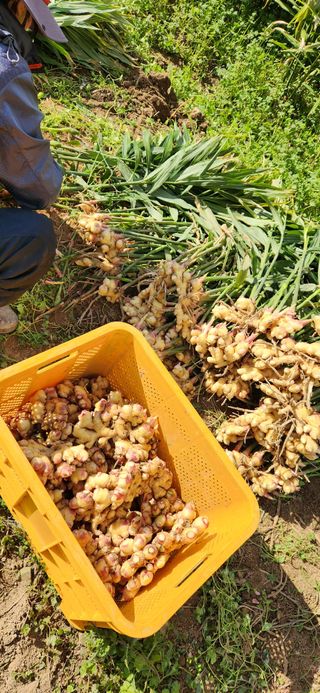 최군환님의 👍올해 나의 최고 자랑은? · 참여글 작성글 사진