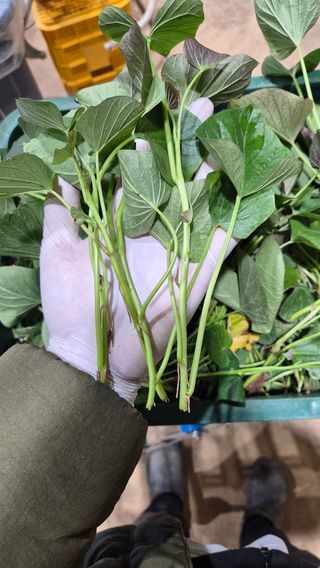 김동수님의 자유주제 · 자유게시판 작성글 사진